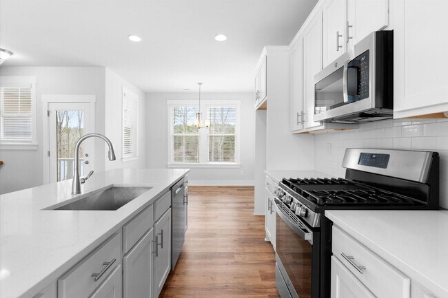 Building Photo - Brand New Lake Front Davidson Townhome