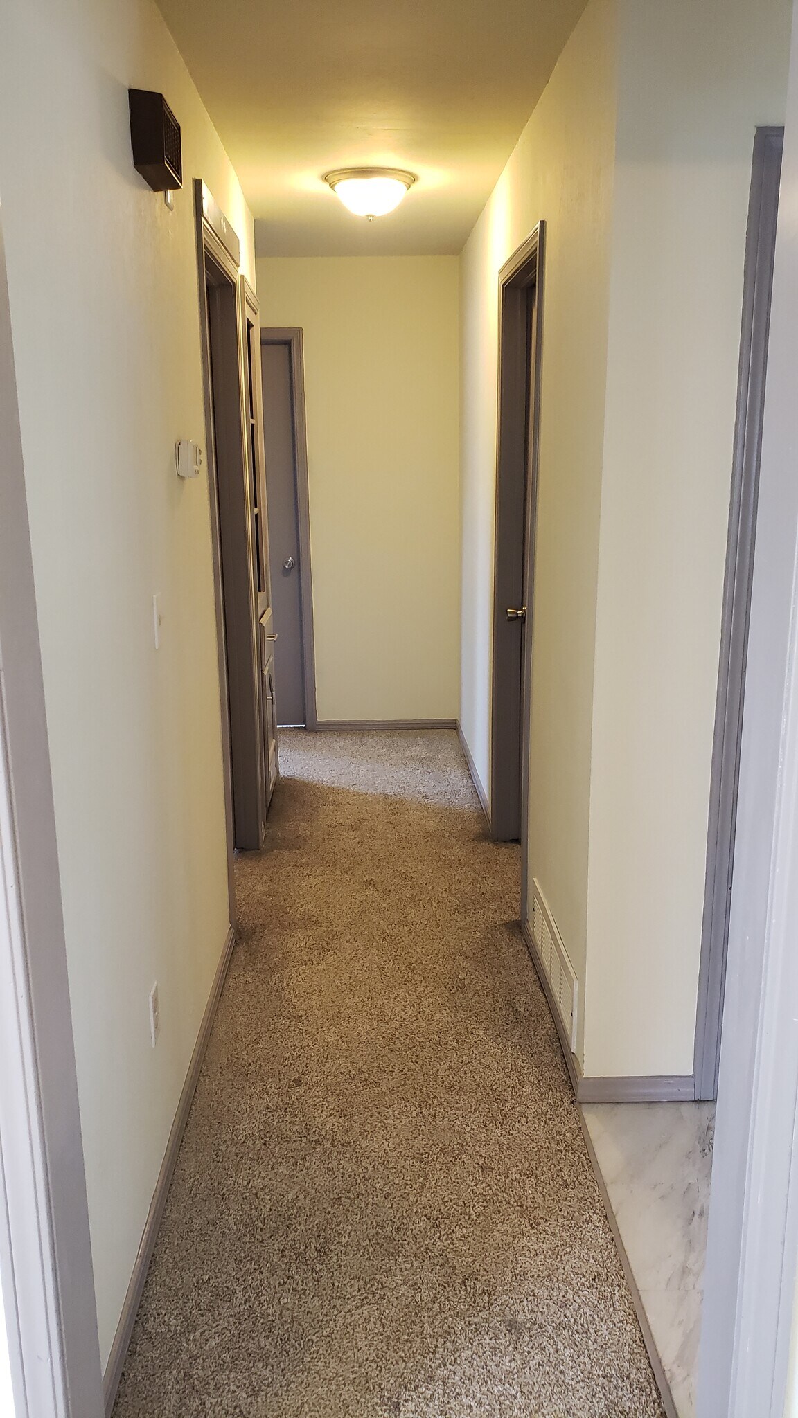 Building Photo - 5312 Chad Rd