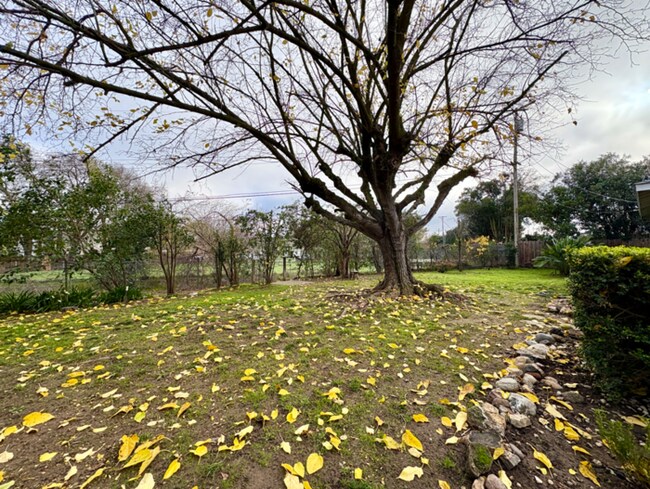 Building Photo - Beautiful 3 Bedroom For Rent in Sacramento!