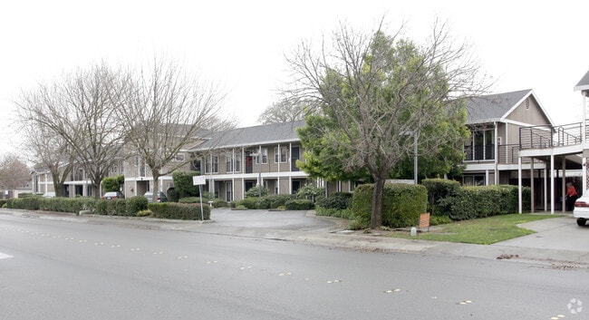 Primary Photo - Stella Complex Apartments