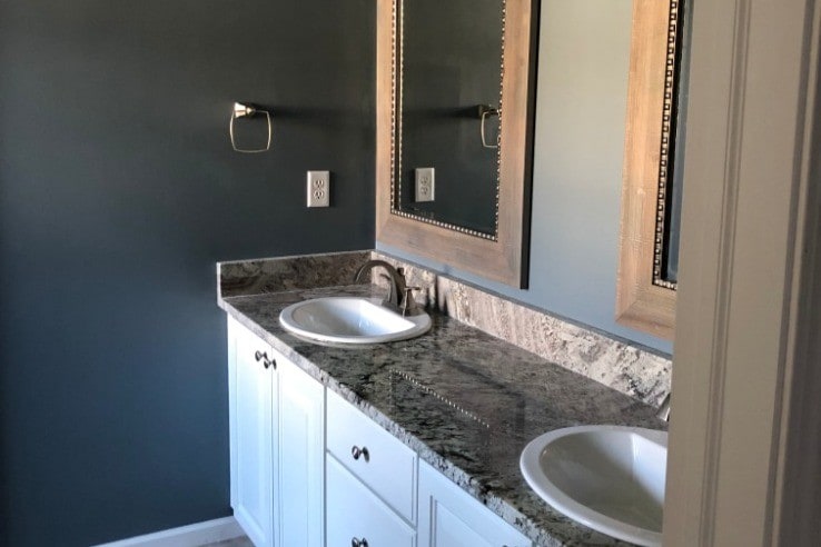 Master Bath - 1483 Fox Pointe Cir