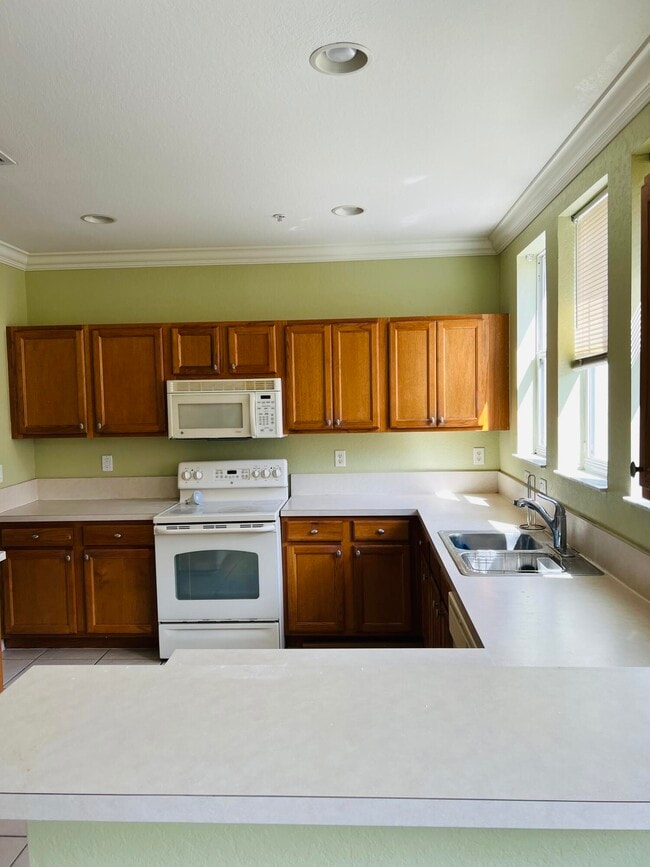 Building Photo - 441 Amador Ln