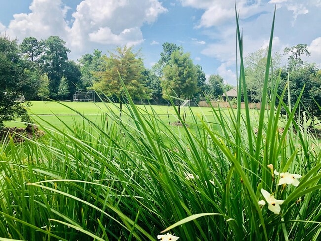 Building Photo - 29021 Cherrywood Ln