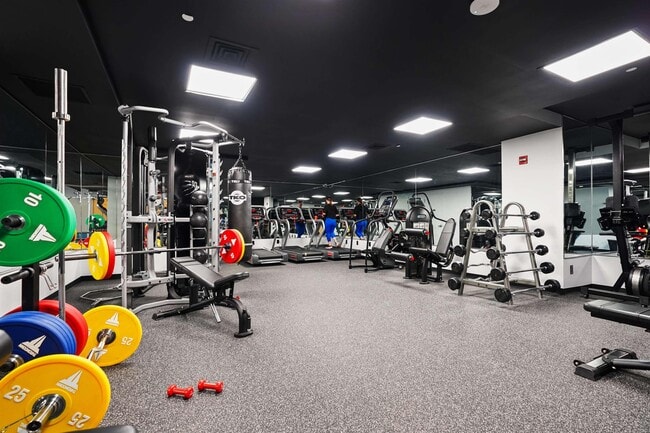 newly renovated gym and new machines - 317 Hudson Park
