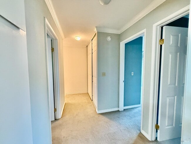 Building Photo - 1121 Grove Cir