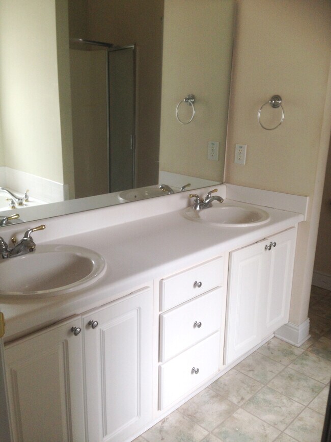 master bath - 100 Pine Shoals Trl