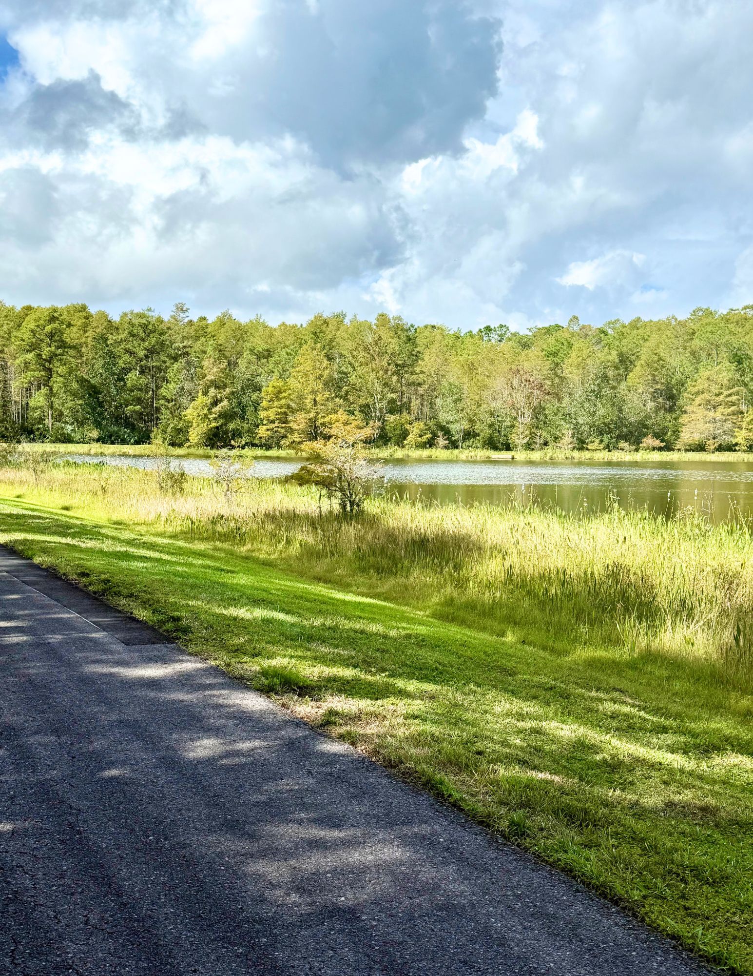 Walking Trail with Scenic Views - 2414 Siward Ave