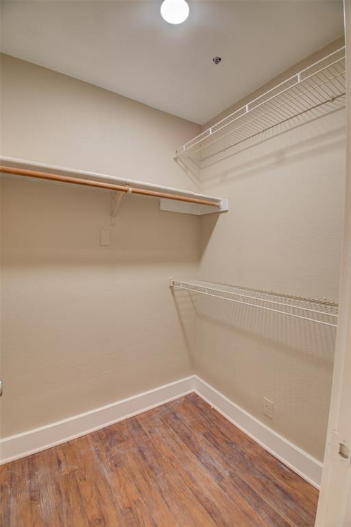 Building Photo - 1306 Norwalk Ln