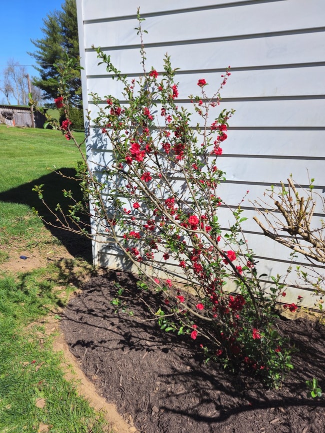 Building Photo - 300 Webbs Mill Rd N