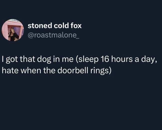 Building Photo - For the Big Dawgs