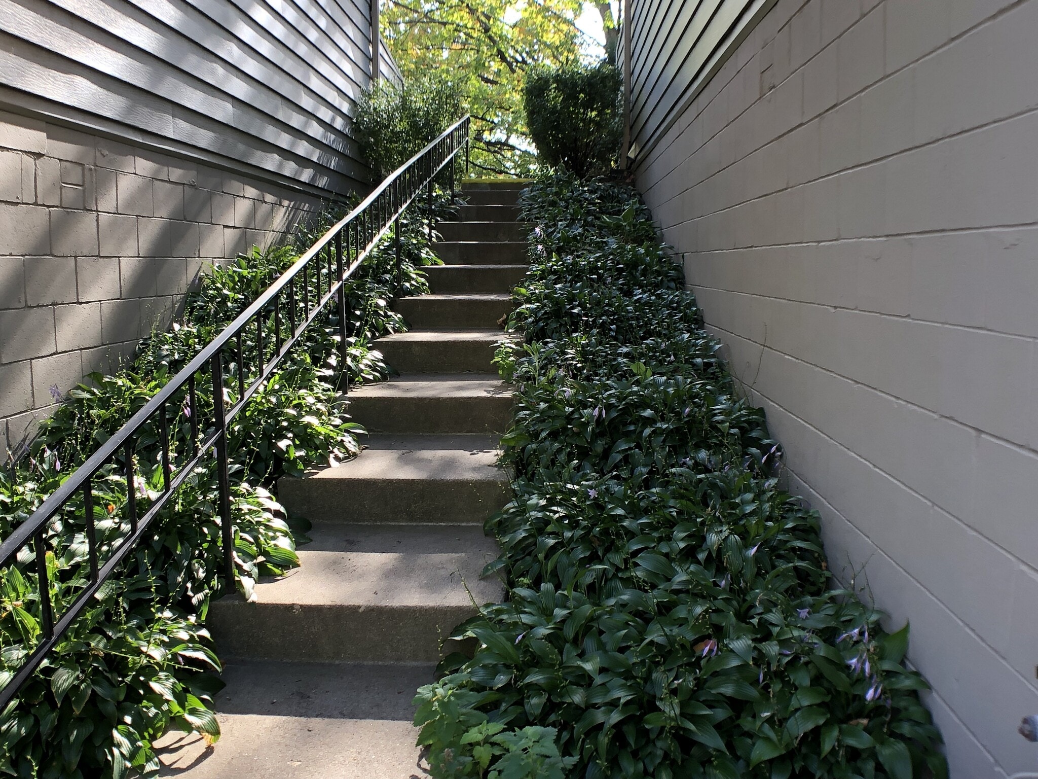 Building Photo - 3071 Zarthan Ave S