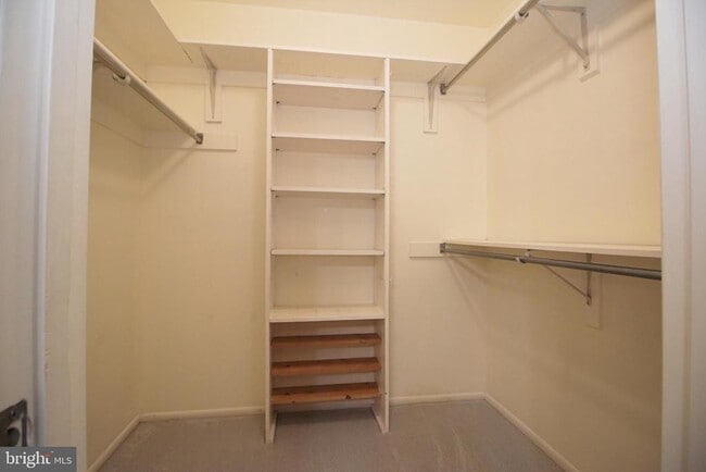 Building Photo - 2238 White Cornus Ln