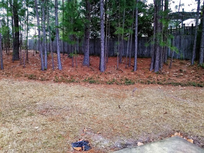 Building Photo - UPDATED & SPACIOUS 3 Bedroom 2 Bathroom home close to SHOPPING & FT BRAGG!!