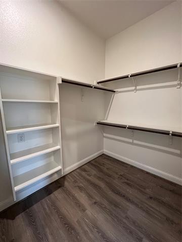 Building Photo - 801 Lake Cypress Ln