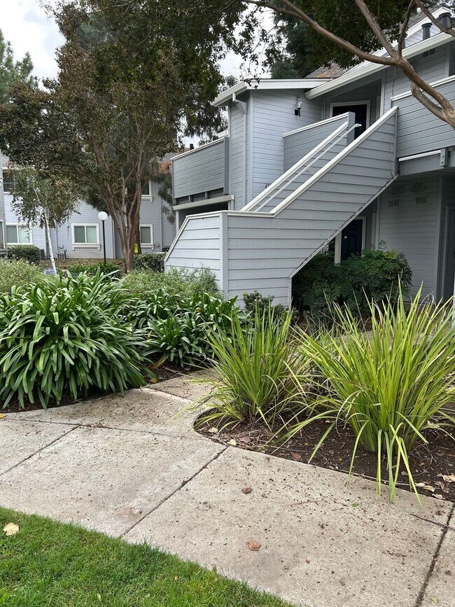 Building Photo - Spacious bright condo with new carpet and new paint and 2 bathrooms