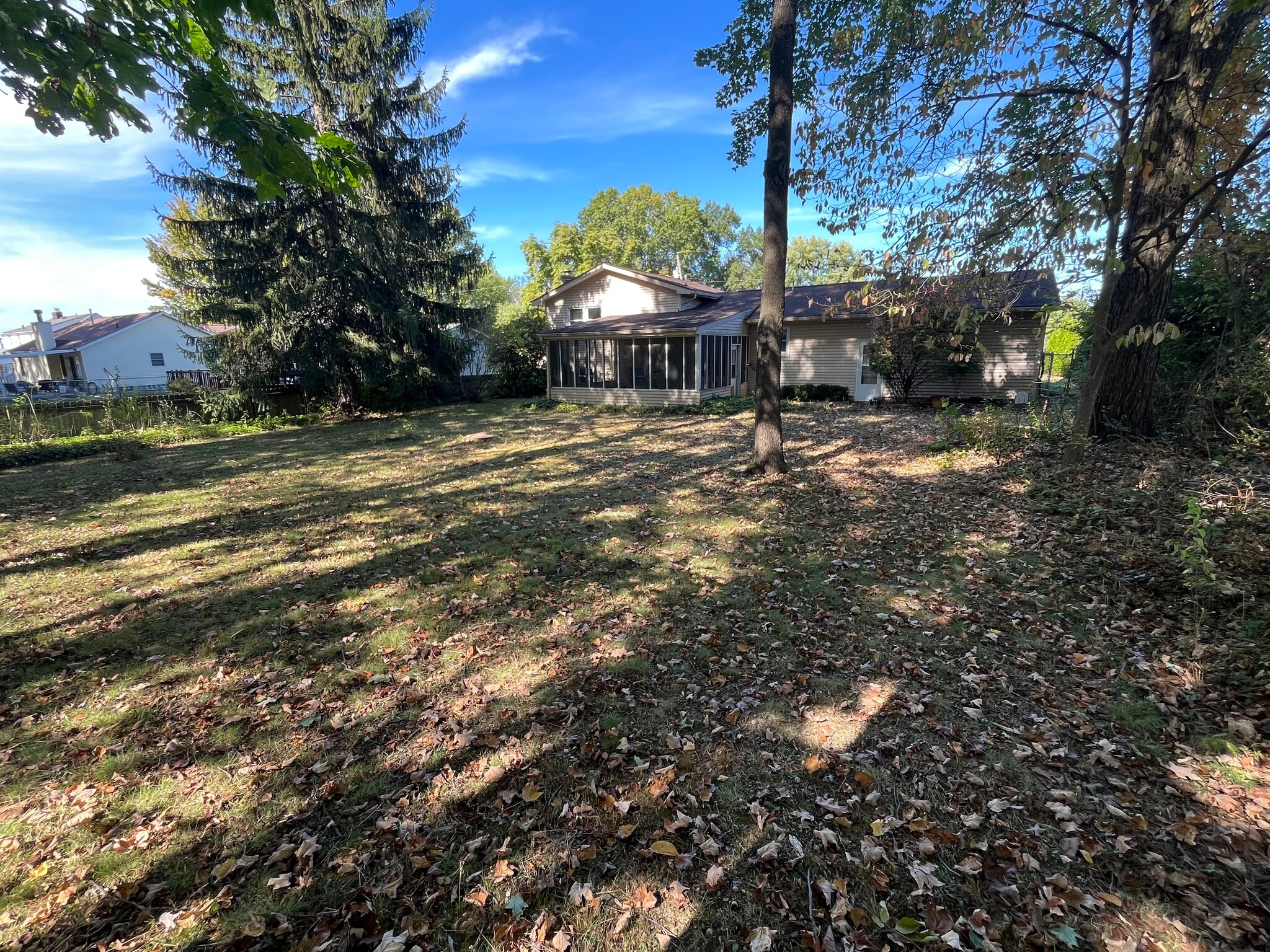 Backyard - 244 Natale Dr