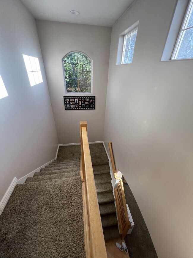 Building Photo - 11467 S Loganberry Ct