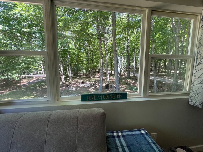 View from Living Room - 5804 Barnhart Rd