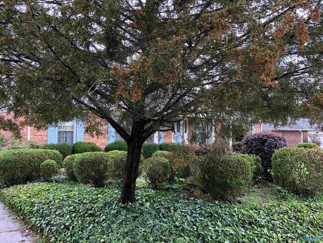 Building Photo - 337 Chateau Dr SW