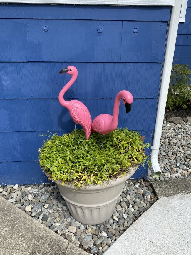 Building Photo - 2120 15th St