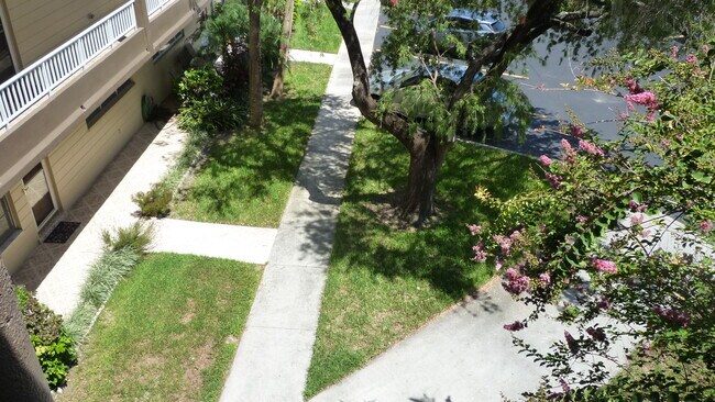 Building Photo - 2402 Ecuadorian Way