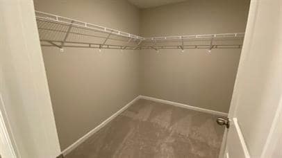 Building Photo - 382 Grey Falcon Ave