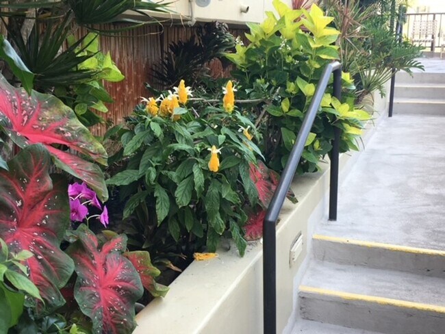 Building Photo - Four Paddle Condominium in Waikiki