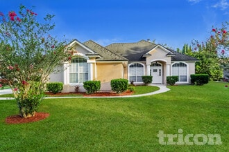 Building Photo - 843 Magic Cove Ln