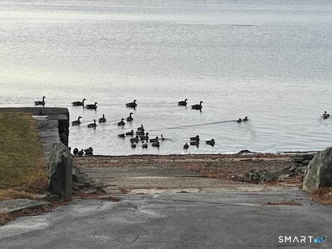 Building Photo - 71 Ellington Rd