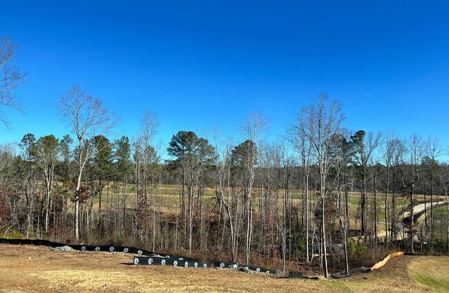 Building Photo - 331 David Hl Dr