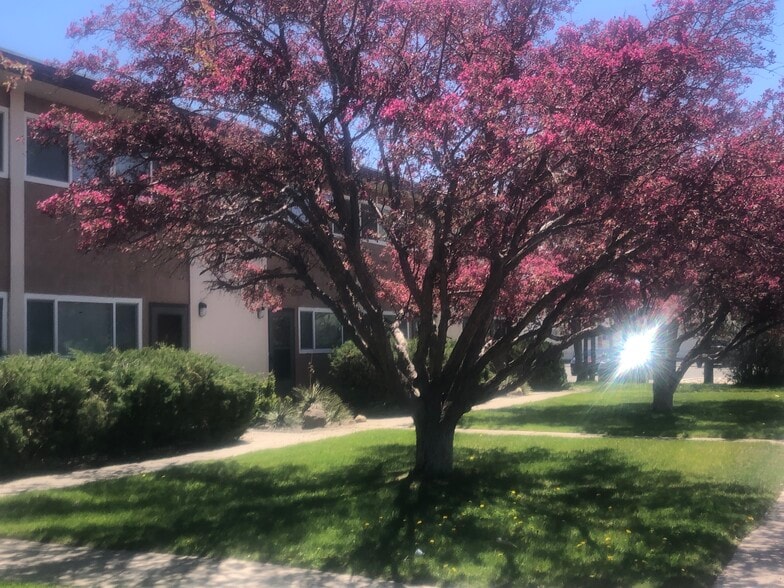 Building Photo - 106 Pike Ave