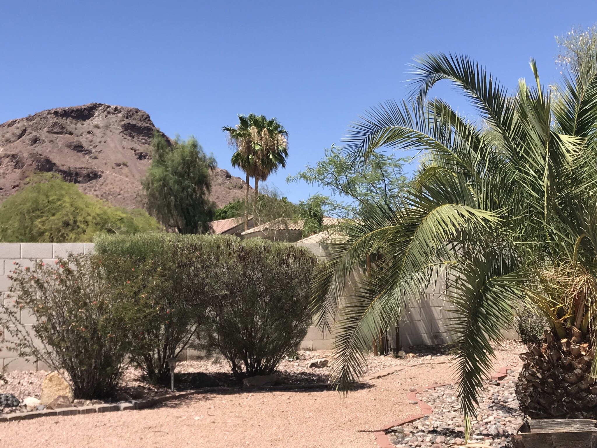 View from back yard - 1502 E Estrid Ave