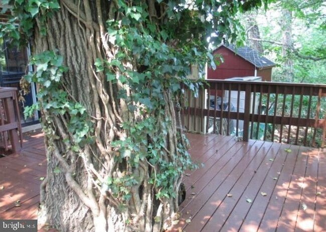 Building Photo - 2926 M St SE