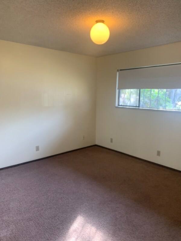 Building Photo - 810 Madrone Ave