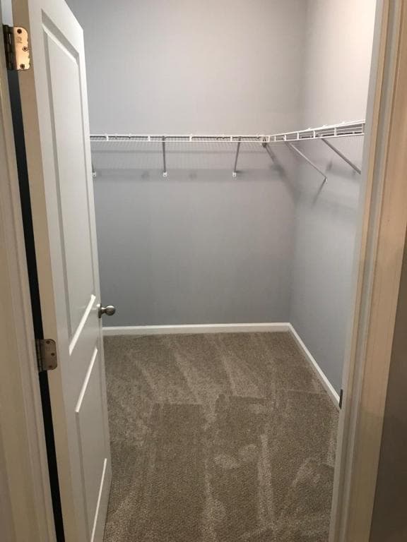 Building Photo - 820 Hayes Point Cir