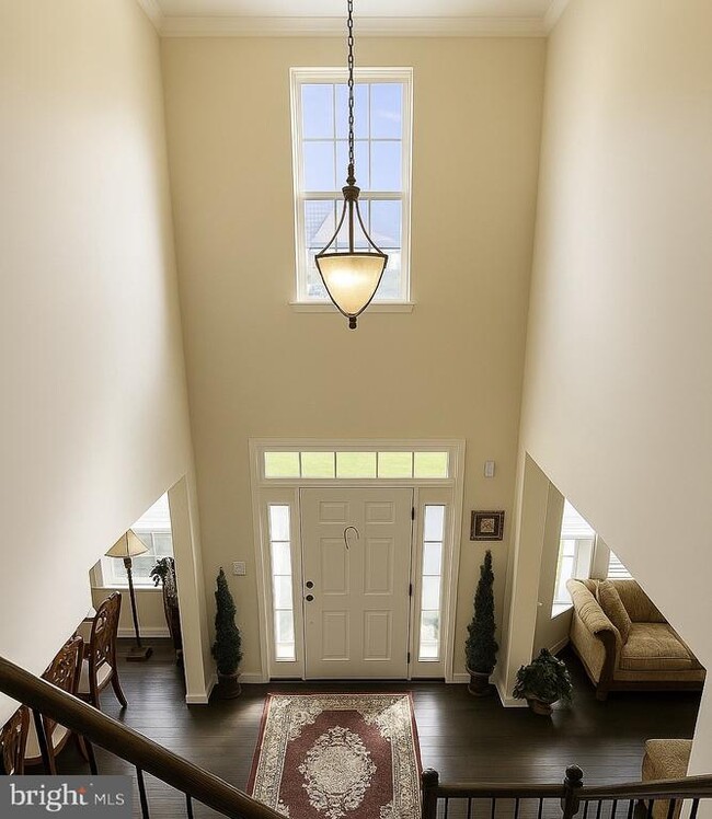 Building Photo - 9933 Box Oak Ct