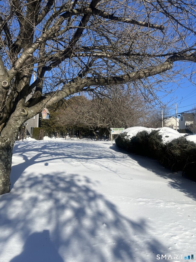 Building Photo - 31 Stuart Ave