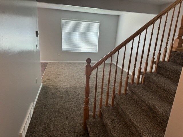 Building Photo - 163 Savannah Ln