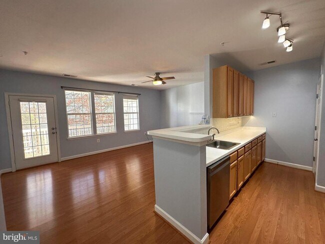 Building Photo - 22607 Blue Elder Terrace