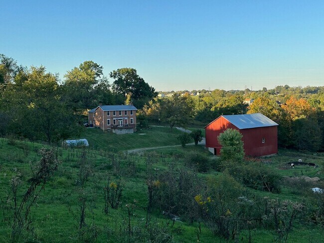 Building Photo - Amazing Farm Property!