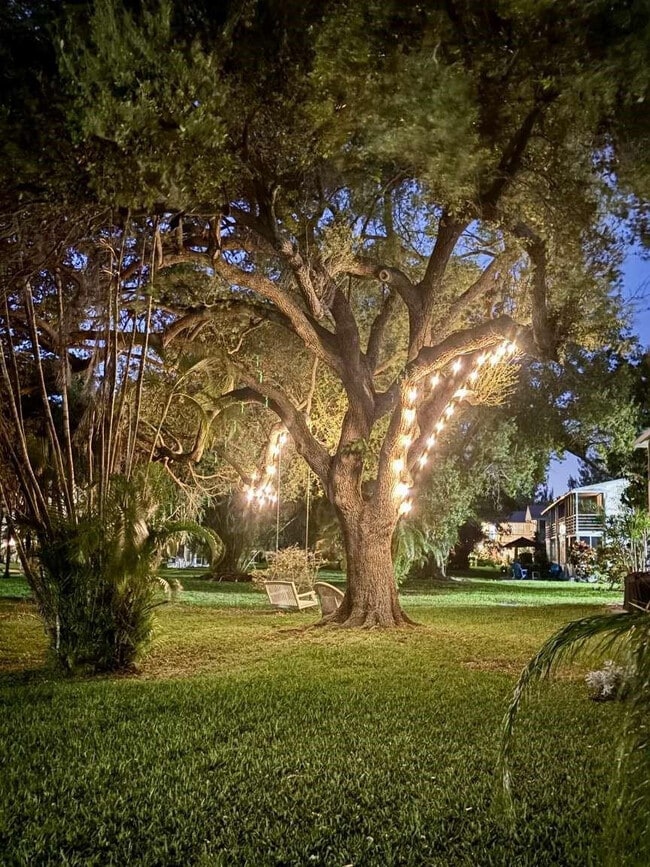 Building Photo - 433 Durham O