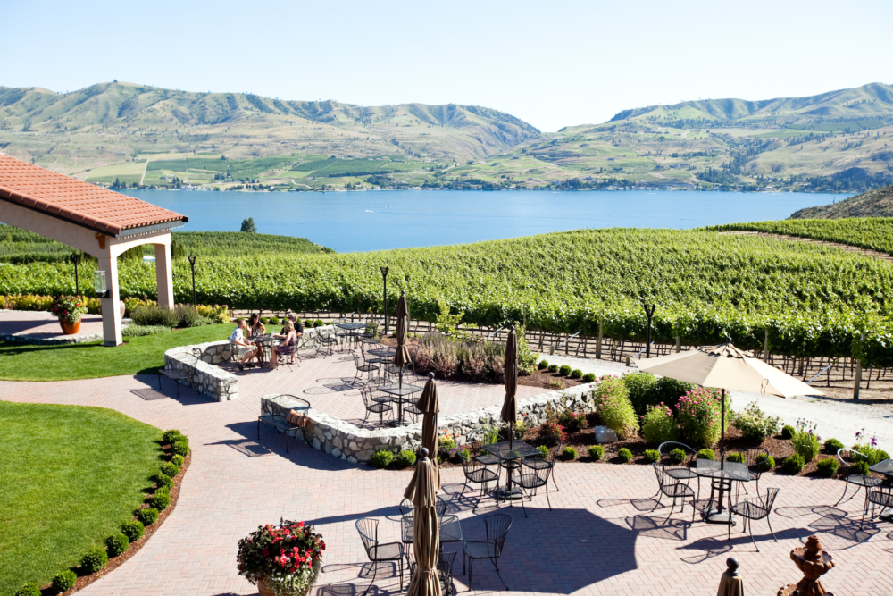 Local Winery - 2400 Washington St