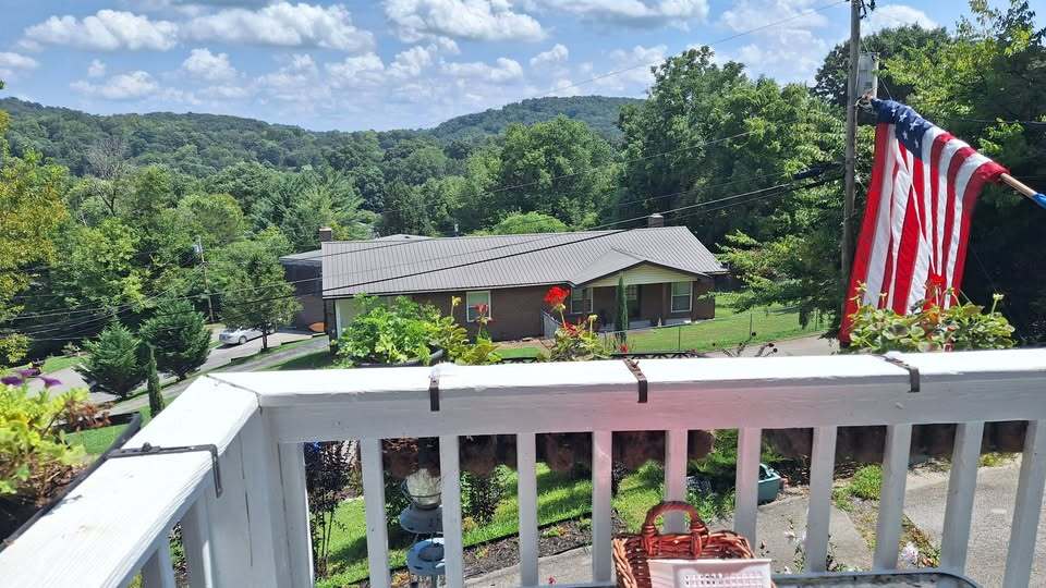 View from porch - 545 Bruning Ln