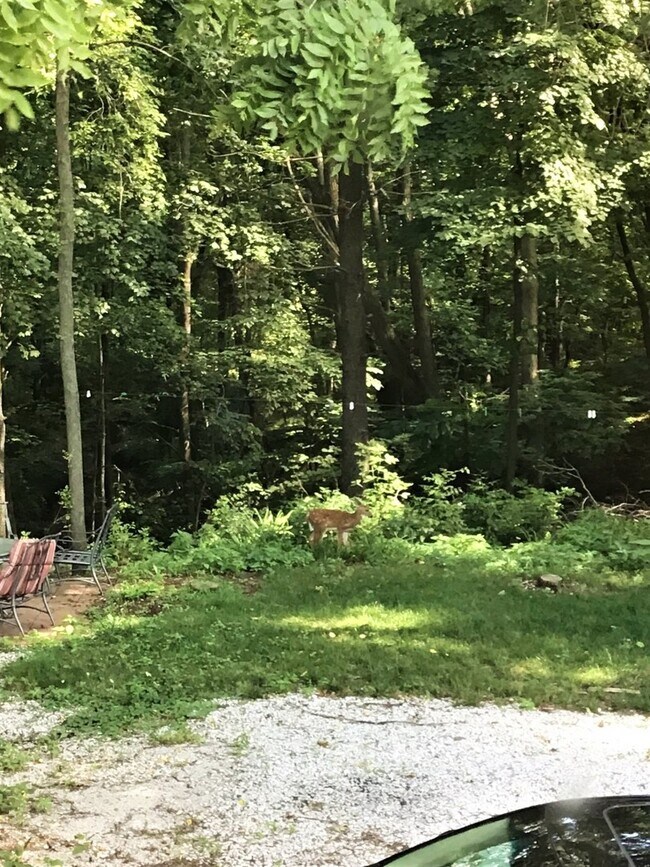Building Photo - Woodland Duplex (3019/3021)