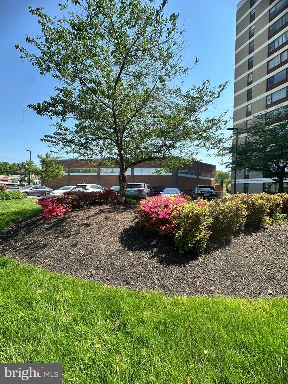 Building Photo - 4600 Duke St