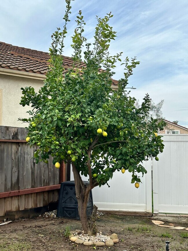Building Photo - Spacious Living with Room to Grow