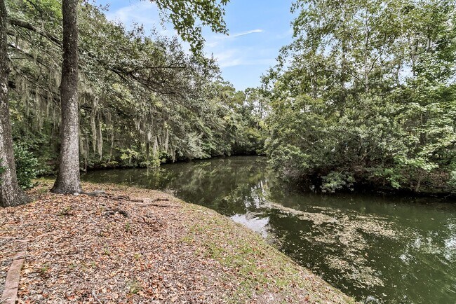 Building Photo - Pond View 3 Bedroom, 2 Bath Home in Ashley...