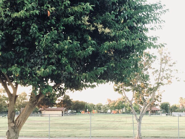 Building Photo - 1111 Central Ave