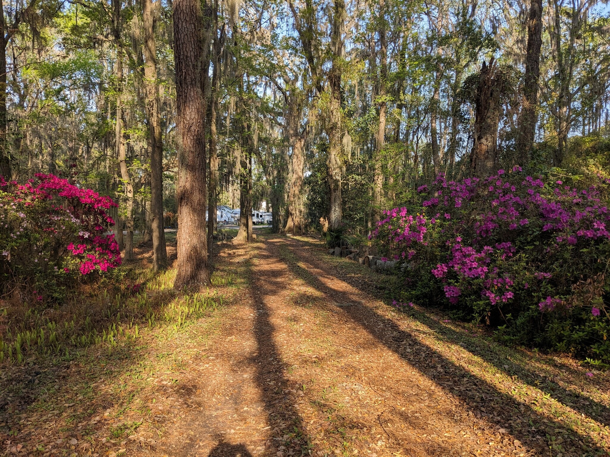 Driveway - 129 Hindman Ln
