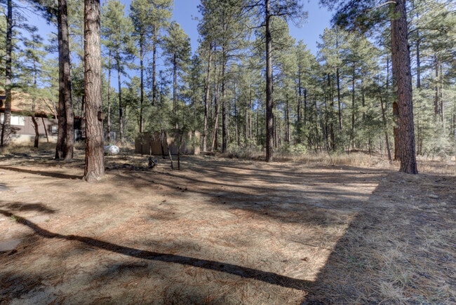 Building Photo - Rent this Cabin that backs to Prescott Nat...